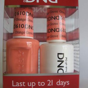 DND Gel & Polish Duo 610 - Orange Grove
